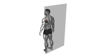 Roll Ball Infraspinatus Stretch exercise
