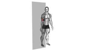 Roll Ball Bicep Brachii exercise