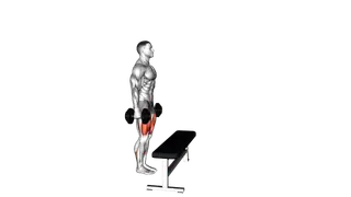 Dumbbell Step up with Knee Raise