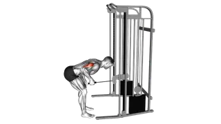 Cable Neutral Grip Kickback exercise