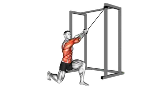 Band Half Kneeling Chop exercise