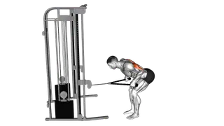 Cable Bent Over Neutral Grip Kickback with Rope Attachment exercise
