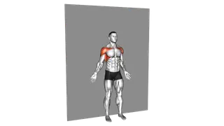 Bodyweight Standing Around World Wall Supported exercise