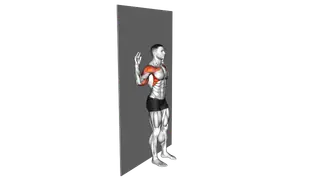 Bodyweight Standing Military Press Wall Supported exercise