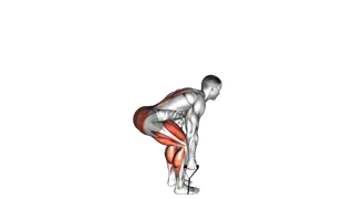 Band Deadlift exercise