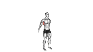 Dynamic Back Stretch exercise
