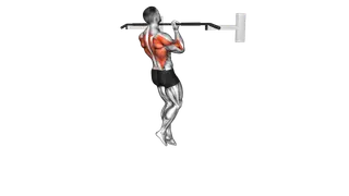 Chin up (izometric and negative) exercise