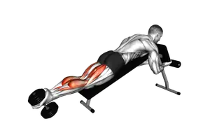 Dumbbell Decline Lying Leg Curl exercise