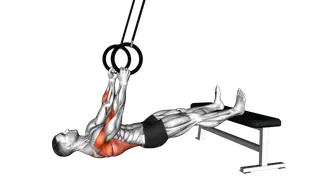 Ring Elevated Row exercise