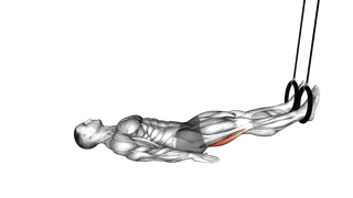 Ring Leg Curl exercise
