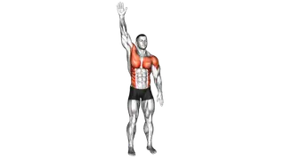 Standing Swimmer exercise