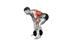 Dumbbell Single Arm Bent Over Row exercise