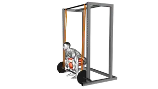 Barbell Band Assisted Deadlift exercise