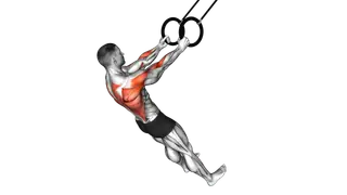Ring High Row exercise
