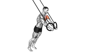 Ring Chest Fly exercise