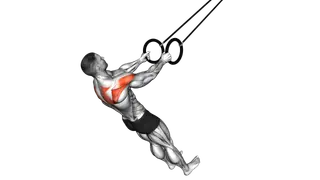 Ring Reverse Fly exercise