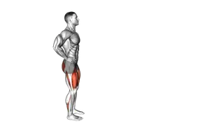 Bodyweight Forward Lunge (Smaller Stance Upright Torso) exercise