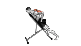 Dumbbell Prone Triceps Kickback exercise