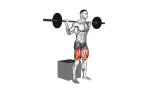 Barbell Box Squat exercise