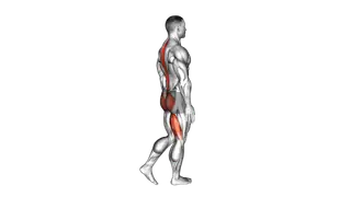 Bodyweight Single Leg RDL exercise