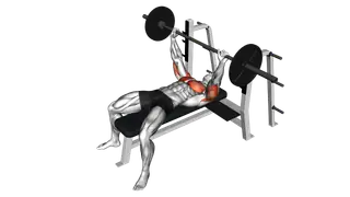 Barbell Pause Bench Press exercise