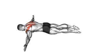 Lying Prone T exercise
