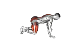 Kneeling Backward Hip Circles exercise