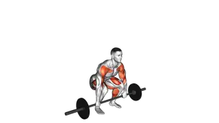 Barbell Muscle Clean exercise