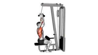 Cable Reverse Grip Pulldown