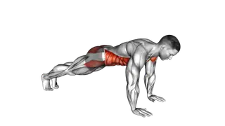 Plank on Hands