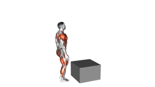 Single Leg Box Jump