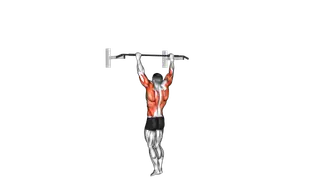 Bodyweight Muscle Up exercise
