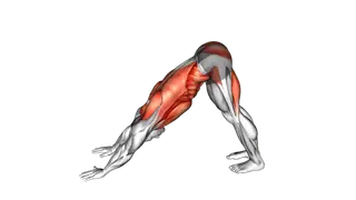 Alternating Leg Downward Dog exercise