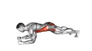Plank Shoulder Tap exercise