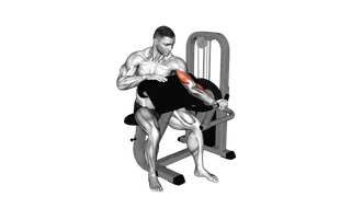 Lever Preacher Curl (Turned Torso) exercise