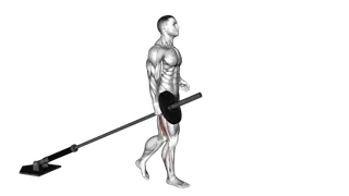 Landmine One Leg Stiff Leg Deadlift exercise
