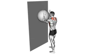 Exercise Ball Serratus Wall Slide exercise