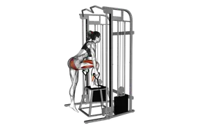 Cable Glute Dominant Step Up exercise