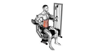 Lever Trunk Rotation exercise