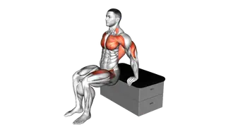 Dip Leg Raise a padded stool Supported exercise