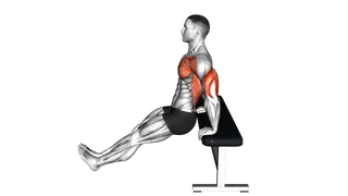 Chest Dip on Bench