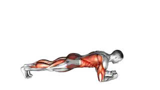 Front Plank with Arm and Leg Lift exercise