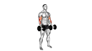 Dumbbell 21s exercise