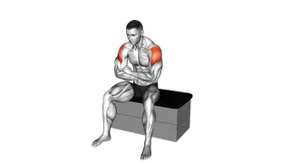 Seated Learning Back Stretch exercise