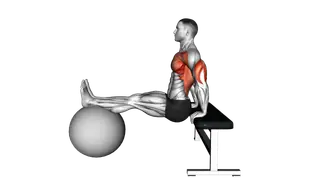 Bench Dip on Stability Ball exercise
