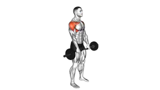 EZ Bar Standing Front Raise