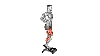 Lever Step exercise