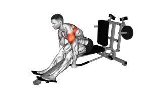 Lever Seated Bent Over Rear Delt Fly