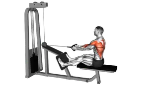 Cable Seated Lats Focused Row exercise