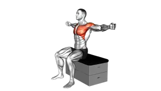 Sitting Fly on a padded stool exercise